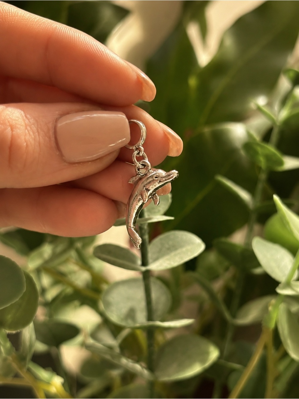 Silver Dolphin Bracelet Charm